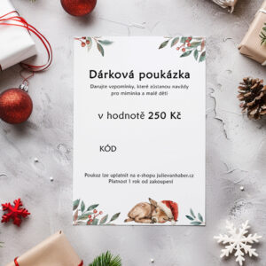 Dárková poukázka Julie Vanhaber v hodnotě 250 Kč – jemný vánoční design s ilustrací kolouška, ideální dárek na poslední chvíli.